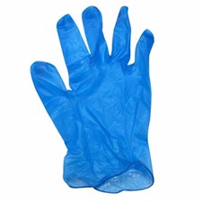 Safety Zone® Blue Vinyl Powdered Gloves, 100/bx, 10 bxs/cs